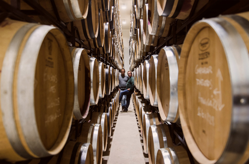 Bodegas Antídoto