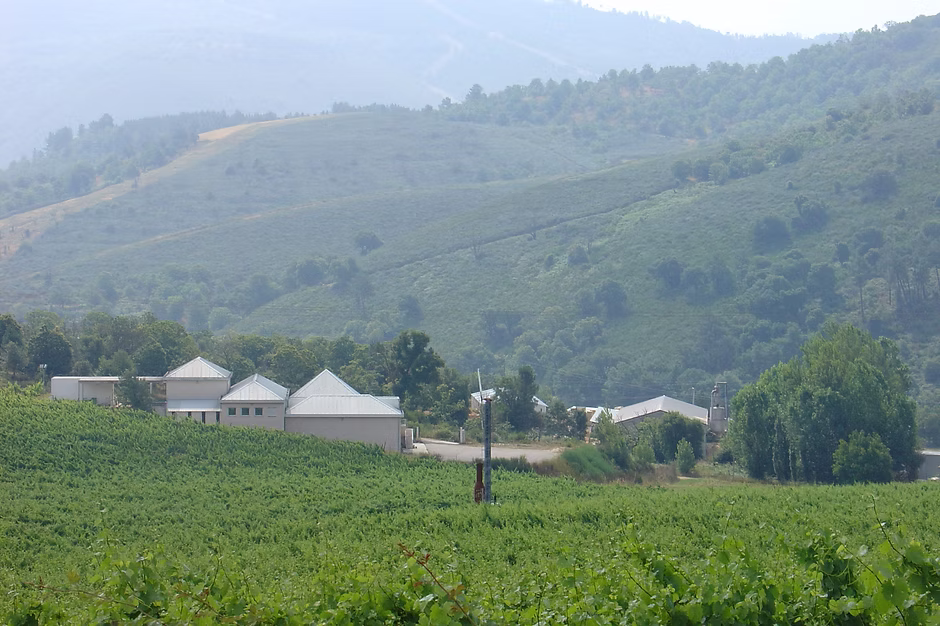 BODEGAS GUITIAN 