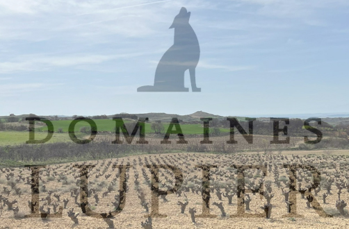 Bodega Domaines Luppier