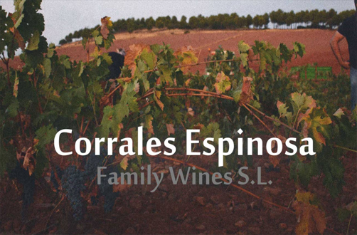 Bodega Jose Manuel Corrales