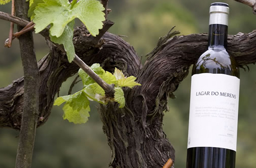 Bodega Lagar do Merens