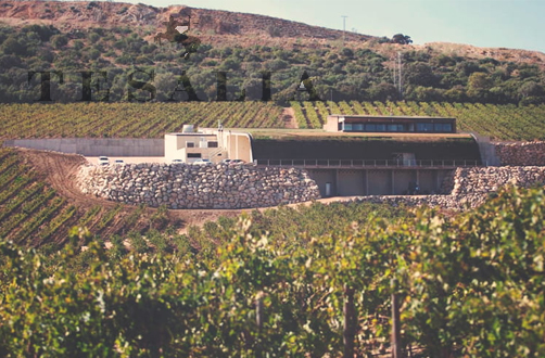 Bodega Tesalia