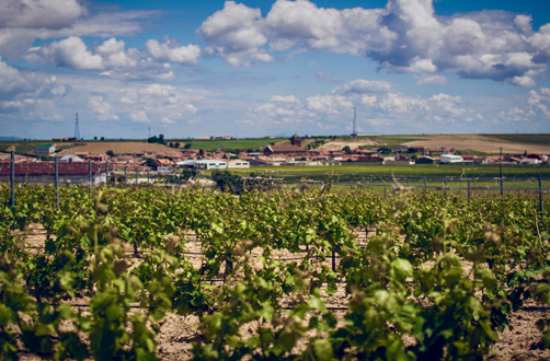 Bodega Tres Pilares