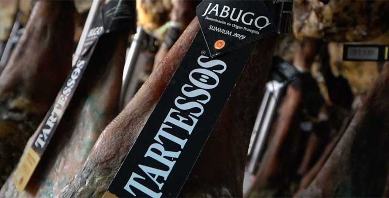 TARTESSOS 